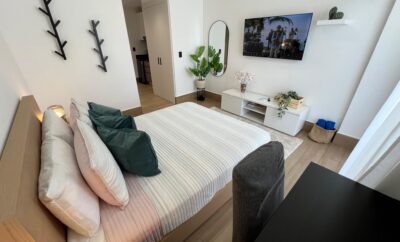 Palms of the Sun Studio Downtown Pool Gym